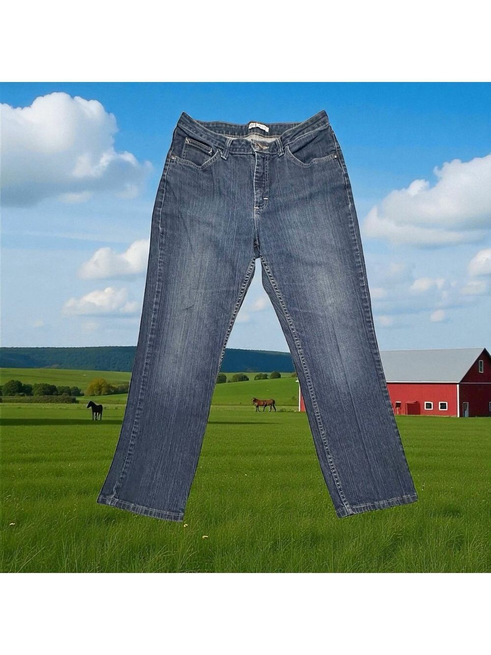 Riders By Lee Denim Jeans Womens 10P PETITE Straight Leg Relaxed Fit Mid-Rise